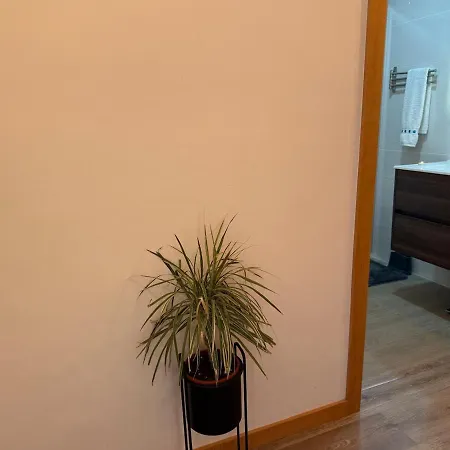 Appartement Camoes No Centro Do